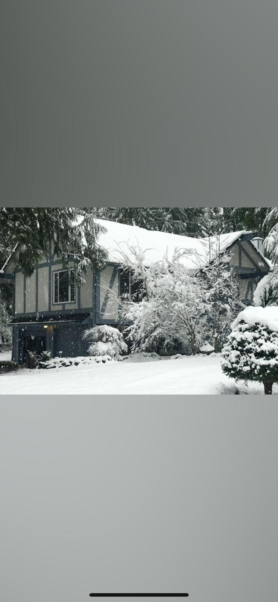 Cozy Bird House W Big Screen! Mount Hood Village Exteriör bild